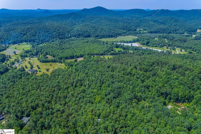 512 Doe Run, Pickens, SC 29671 - aerial view of property's location with a heavily wooded area and a mountainous background