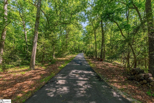 512 Doe Run, Pickens, SC 29671 - view of road featuring a view of trees