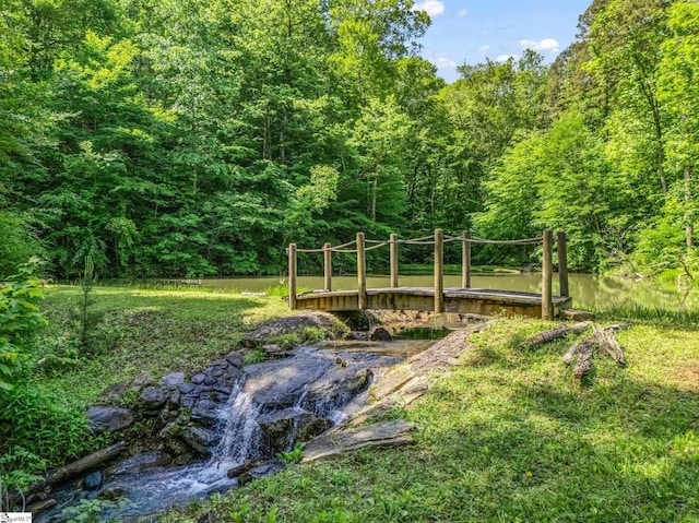 980 Mountain Forest Dr, Union Mills, NC 28167 - view of yard with a forest view