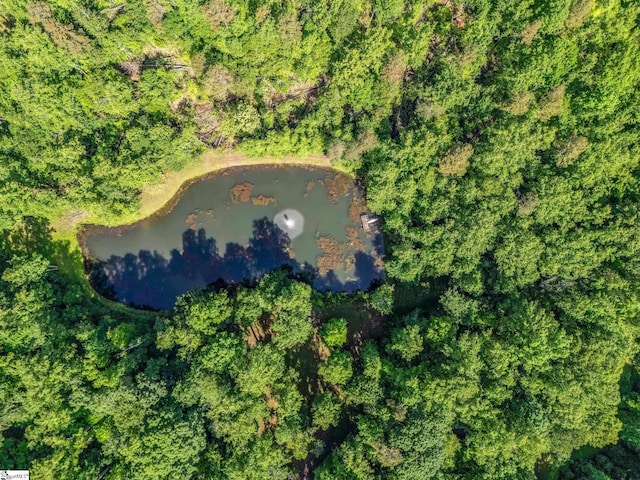 980 Mountain Forest Dr, Union Mills, NC 28167 - aerial view of property's location featuring a nearby body of water