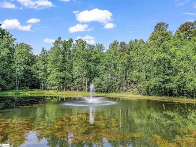980 Mountain Forest Dr, Union Mills, NC 28167 - water view featuring a forest