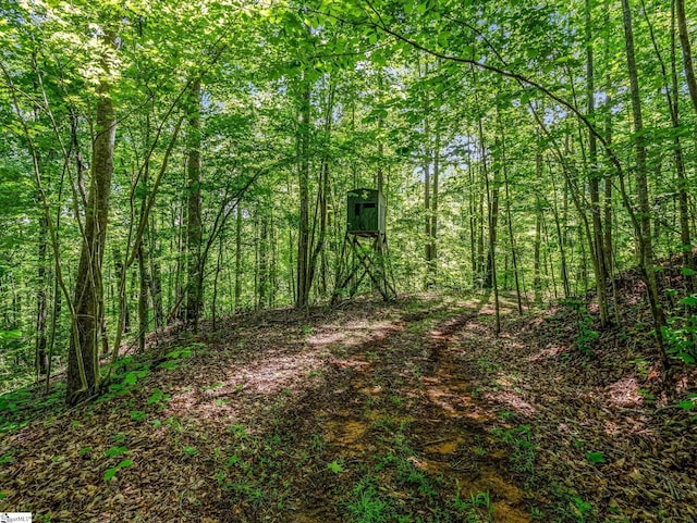 980 Mountain Forest Dr, Union Mills, NC 28167 - view of tree filled area