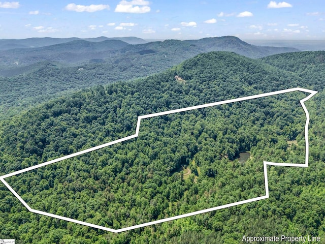980 Mountain Forest Dr, Union Mills, NC 28167 - view of mountain backdrop with a heavily wooded area