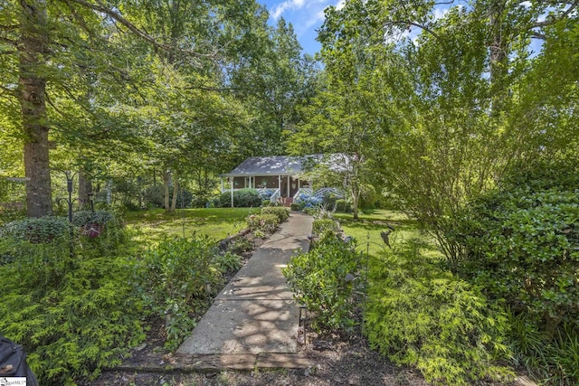 495 Pleasant Grove Rd, Pickens, SC 29671 - view of front of house featuring a front yard