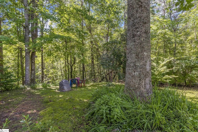 495 Pleasant Grove Rd, Pickens, SC 29671 - view of yard with a wooded view