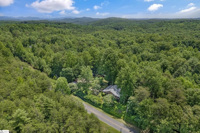 495 Pleasant Grove Rd, Pickens, SC 29671 - drone / aerial view of mountains
