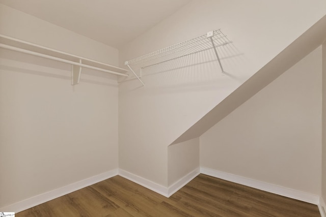 301 Thornwood Dr, Taylors, SC 29687 - walk in closet featuring dark wood-style floors