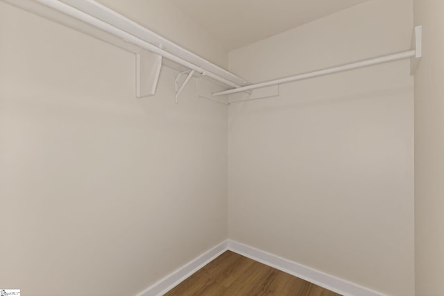 301 Thornwood Dr, Taylors, SC 29687 - walk in closet featuring dark wood-type flooring