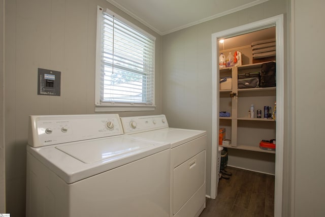 214 Cedar Cir, Easley, SC 29642 - laundry area with independent washer and dryer, ornamental molding, and dark wood finished floors