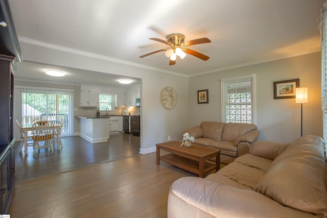 214 Cedar Cir, Easley, SC 29642 - living area featuring ceiling fan, dark wood-type flooring, and ornamental molding