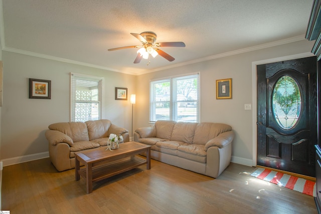 214 Cedar Cir, Easley, SC 29642 - living room featuring ceiling fan, healthy amount of natural light, light wood-style floors, and ornamental molding