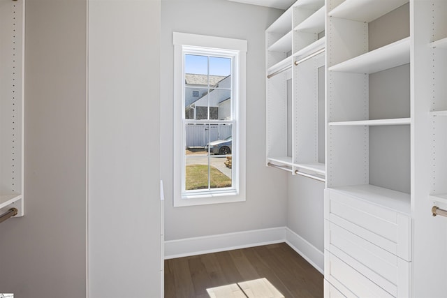 404 Odell St, Greenville, SC 29615 - walk in closet with dark wood finished floors