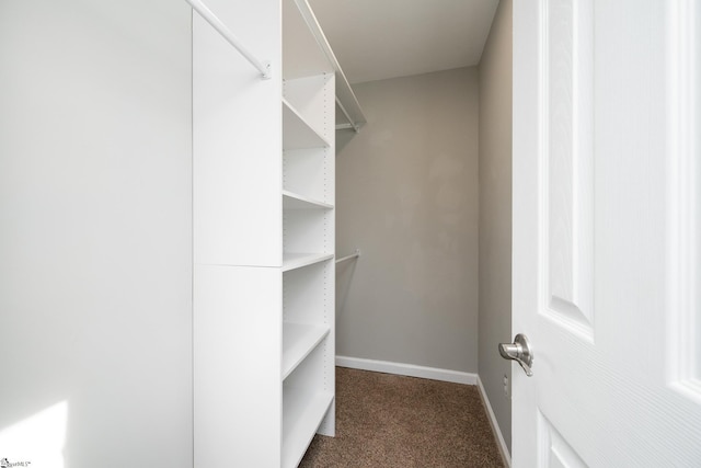 101 Havendale Dr, Fountain Inn, SC 29644 - walk in closet with dark carpet