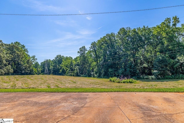 849 Harvey Rd, Greer, SC 29651 - view of yard