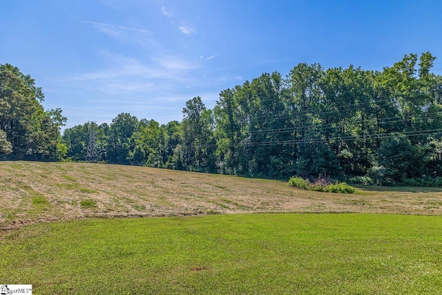 849 Harvey Rd, Greer, SC 29651 - view of green lawn