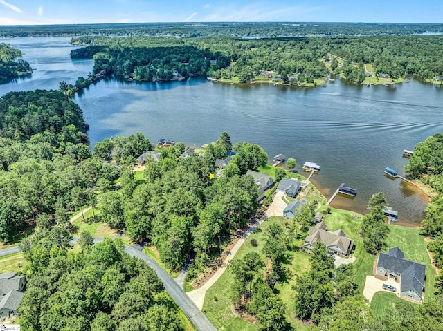 224 Seabright Cir, Cross Hill, SC 29332 - bird's eye view of a large body of water and a heavily wooded area