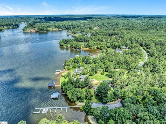 224 Seabright Cir, Cross Hill, SC 29332 - view of property location featuring a forest and a large body of water