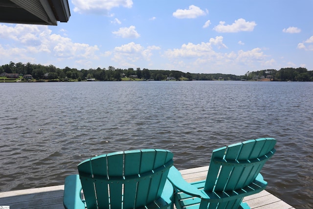 224 Seabright Cir, Cross Hill, SC 29332 - dock area with a water view