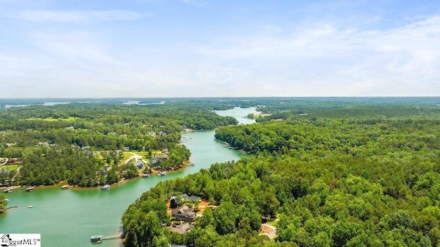 215 Serenity Bay Dr, Seneca, SC 29672 - bird's eye view of a heavily wooded area and a nearby body of water