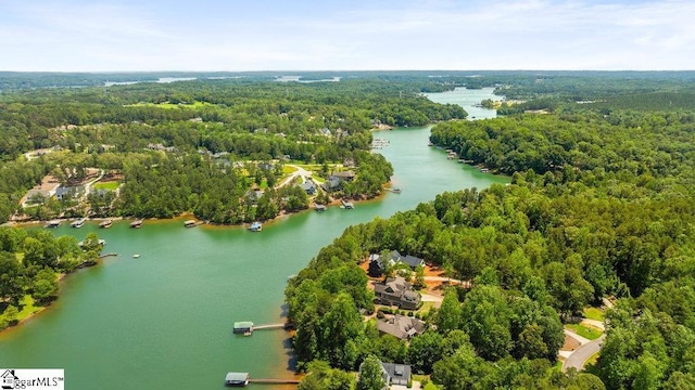 215 Serenity Bay Dr, Seneca, SC 29672 - bird's eye view of a heavily wooded area and a large body of water