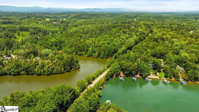 215 Serenity Bay Dr, Seneca, SC 29672 - aerial view of a forest and a nearby body of water