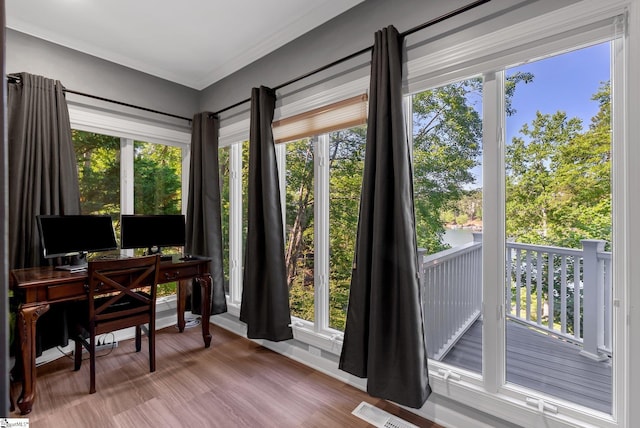 24 Lighthouse Way Dr, Salem, SC 29676 - office area with healthy amount of natural light, ornamental molding, and wood finished floors