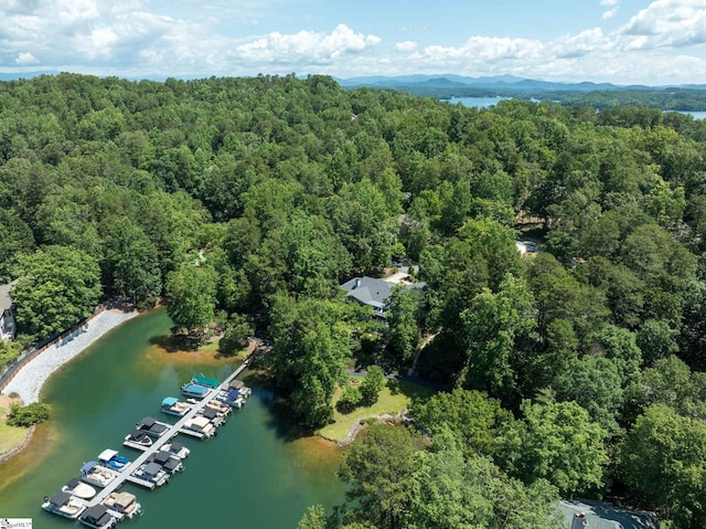 24 Lighthouse Way Dr, Salem, SC 29676 - aerial view of a forest and a water and mountain view