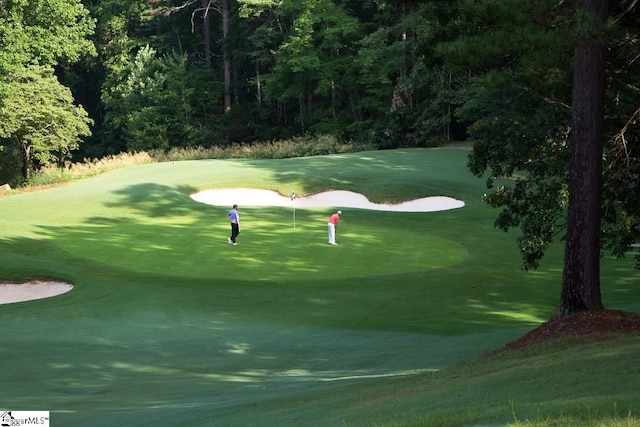 24 Lighthouse Way Dr, Salem, SC 29676 - view of home's community featuring golf course view
