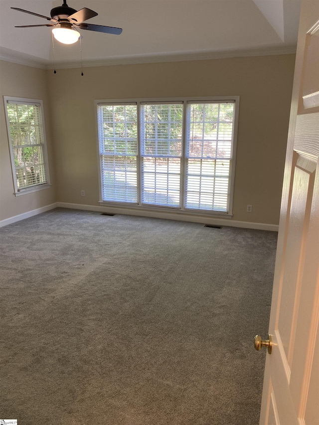 523 Meadowsweet Ln, Greenville, SC 29615 - unfurnished room featuring plenty of natural light, ornamental molding, carpet flooring, and ceiling fan