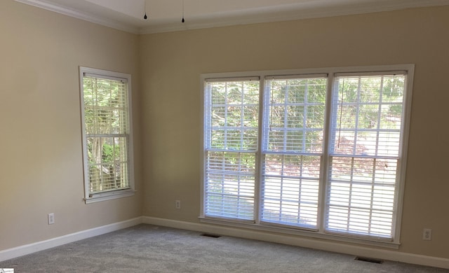 523 Meadowsweet Ln, Greenville, SC 29615 - carpeted spare room featuring ornamental molding, healthy amount of natural light, and a ceiling fan