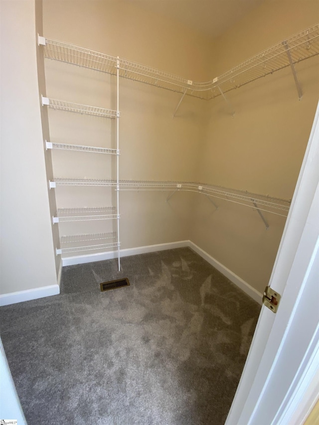 523 Meadowsweet Ln, Greenville, SC 29615 - walk in closet featuring carpet flooring