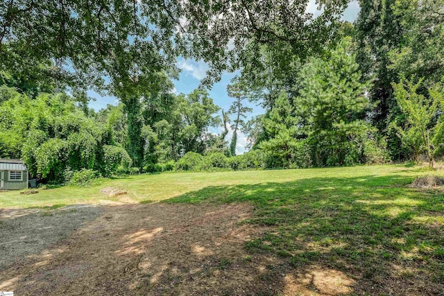 24 Burts St, Pelzer, SC 29669 - view of grassy yard with a storage shed