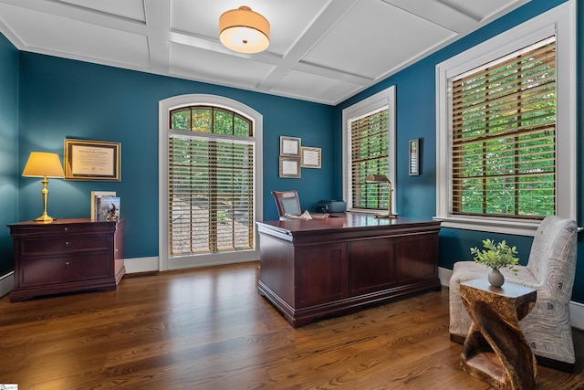 337 Knox Campground Rd, Seneca, SC 29672 - office featuring coffered ceiling, dark wood-style floors, and beamed ceiling