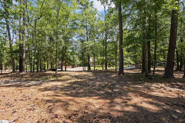 229 Armstrong Rd, Honea Path, SC 29654 - view of local wilderness