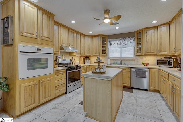 103 Birchwood St, Easley, SC 29642 - kitchen featuring appliances with stainless steel finishes, a ceiling fan, under cabinet range hood, light countertops, and tasteful backsplash