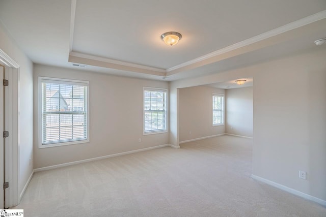 203 Redmont Ct, Simpsonville, SC 29680 - empty room with ornamental molding, a tray ceiling, and light carpet