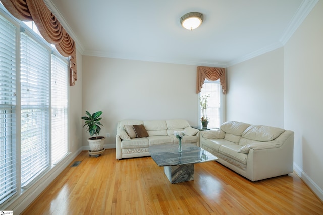 805 Carriage Hill Rd, Simpsonville, SC 29681 - living area featuring light wood finished floors and crown molding