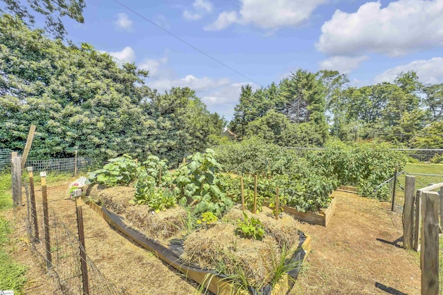 1 Redcliffe Rd, Greenville, SC 29615 - view of yard featuring a vegetable garden