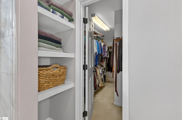 3 Promontory Ct, Greenville, SC 29615 - spacious closet with carpet