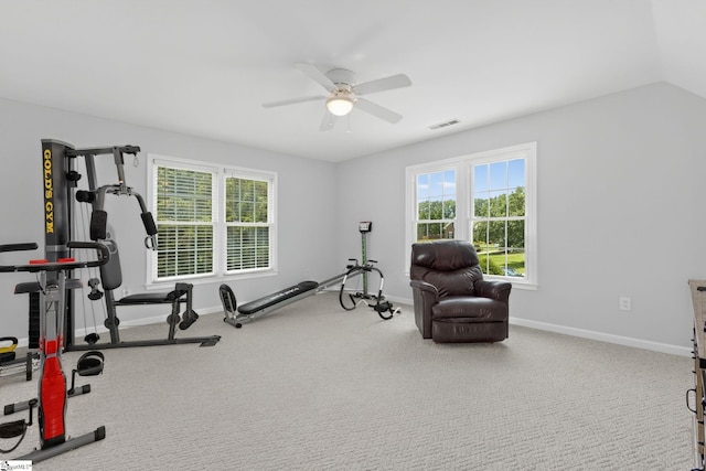 3 Promontory Ct, Greenville, SC 29615 - workout room featuring ceiling fan, healthy amount of natural light, and carpet