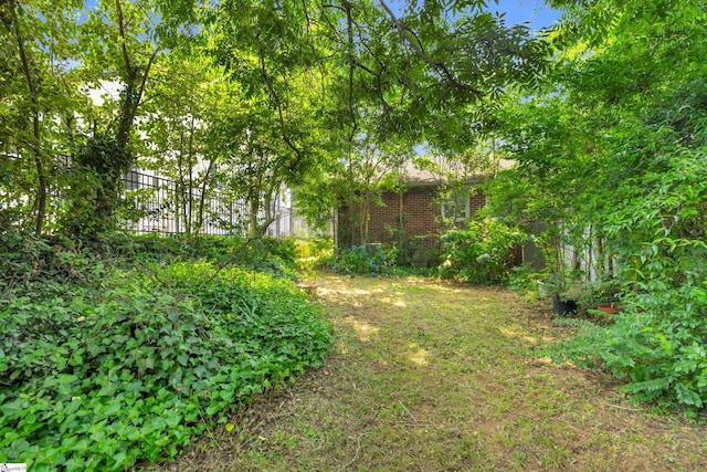 15 Jones Ave, Greenville, SC 29601 - view of yard