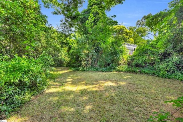 15 Jones Ave, Greenville, SC 29601 - view of green lawn