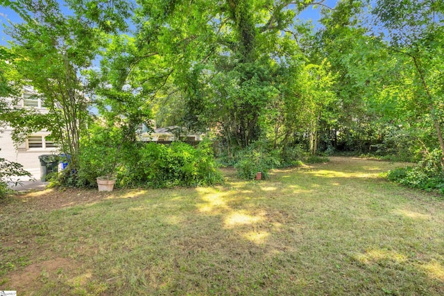 15 Jones Ave, Greenville, SC 29601 - view of green lawn
