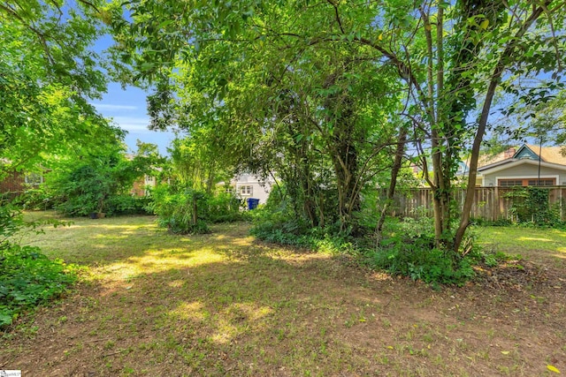 15 Jones Ave, Greenville, SC 29601 - view of yard