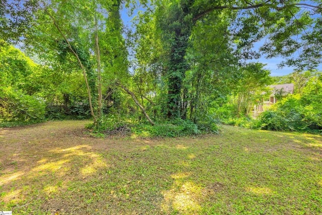 15 Jones Ave, Greenville, SC 29601 - view of yard