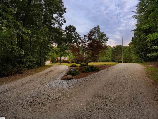 170 Shirleys Farm Rd, Seneca, SC 29678 - view of dirt / gravel driveway