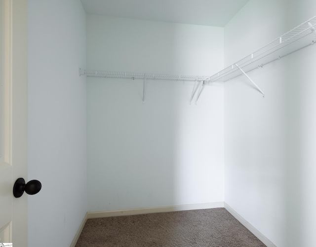 18 Herndon Ct, Simpsonville, SC 29681 - walk in closet with carpet floors