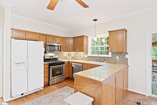 629 Germander Ct, Greer, SC 29651 - kitchen featuring stainless steel appliances, a peninsula, light wood-style floors, and ornamental molding