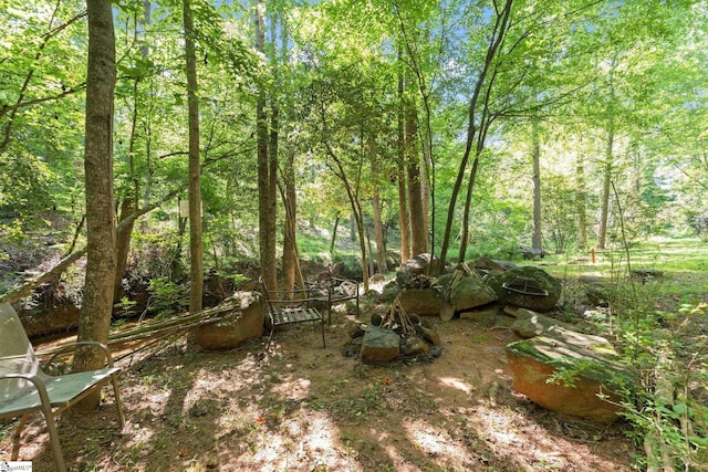 629 Germander Ct, Greer, SC 29651 - view of yard