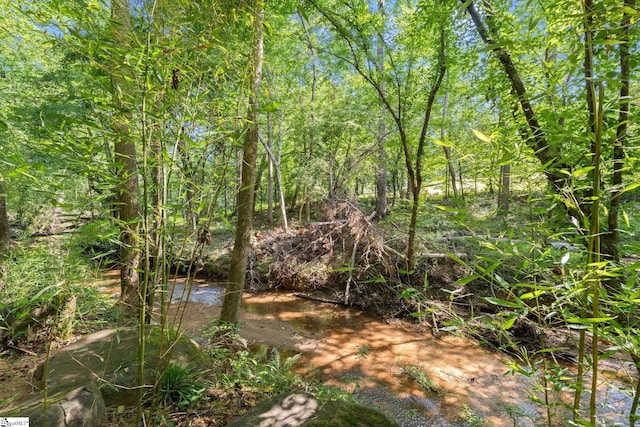 629 Germander Ct, Greer, SC 29651 - view of nature